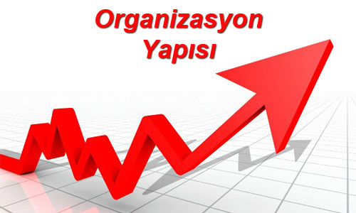 Organizasyon tanımı nedir?